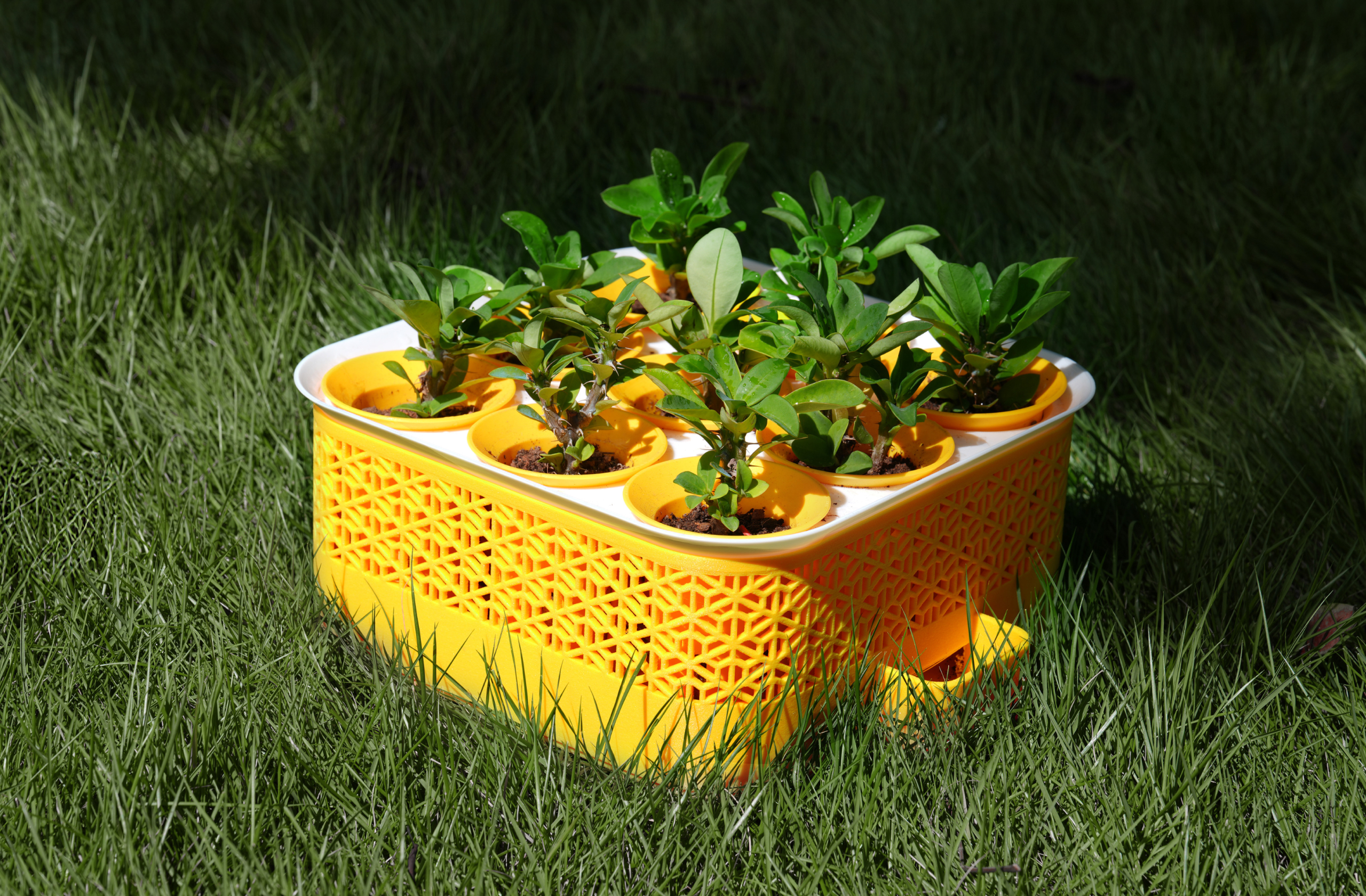 Flowerpot